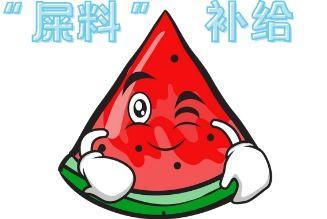 娱乐吃瓜酱素材从哪来的,素材来源大揭秘